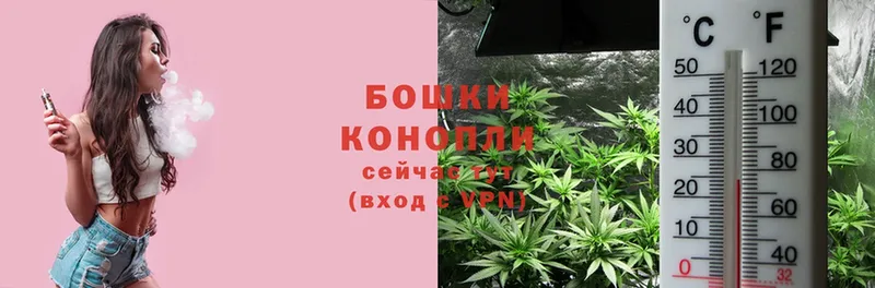 Шишки марихуана Ganja  Белокуриха 